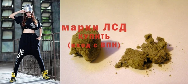 прущие грибы Навашино