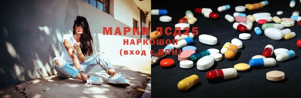 прущие грибы Навашино