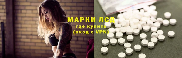 прущие грибы Навашино
