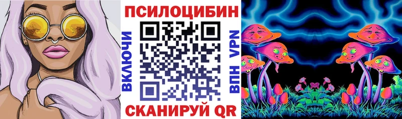 Псилоцибиновые грибы Cubensis  hydra tor  Нарьян-Мар 