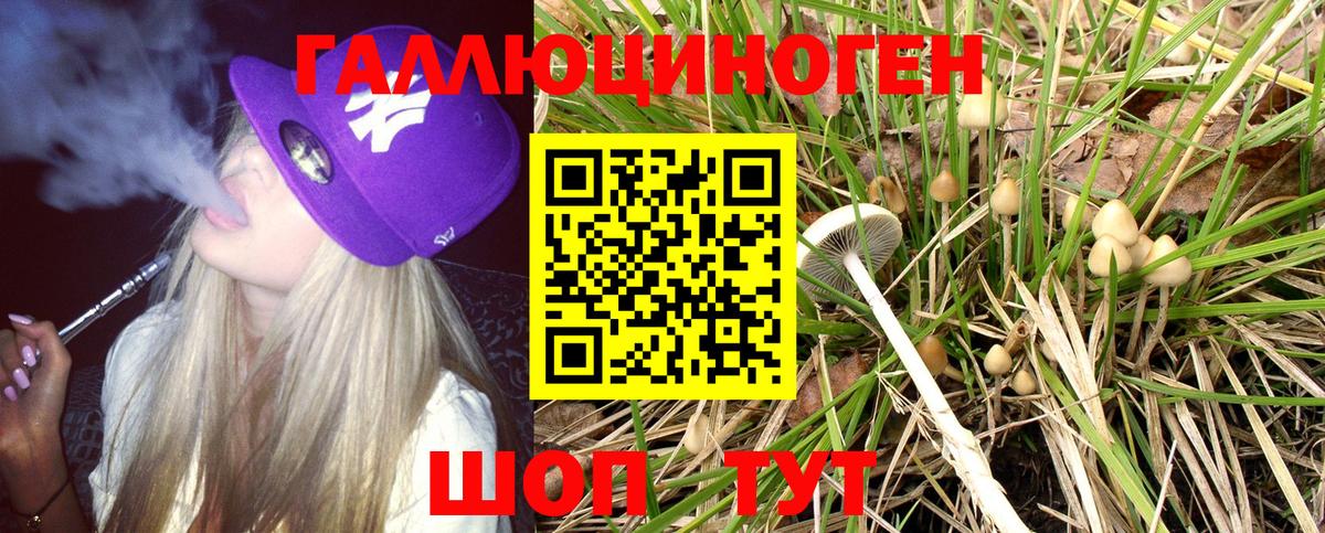 Псилоцибиновые грибы мухоморы Нарьян-Мар