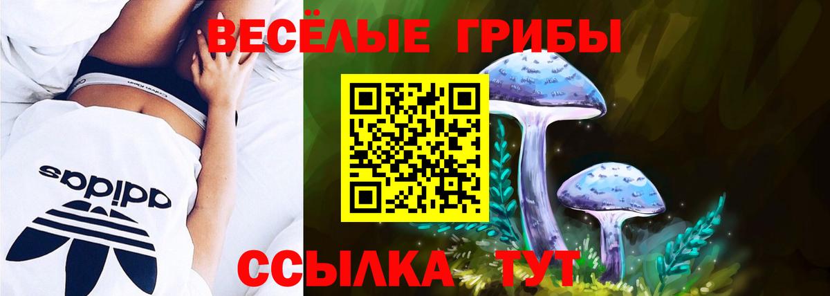 наркотики  Псилоцибиновые грибы мицелий  Вход с VPN  Нарьян-Мар 