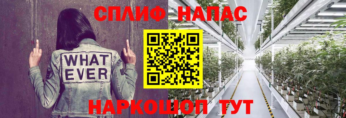 Канабис сатива Нарьян-Мар